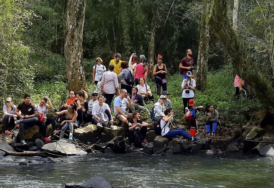 From Puerto Iguazu: Secret Falls Adventure - Who this tour fits best, and who should skip it