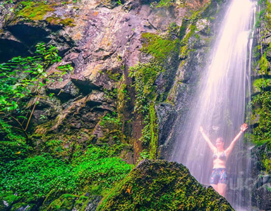 From Puerto Iguazu: Secret Falls Adventure - Half-day vs full-day: 5 swims or 10