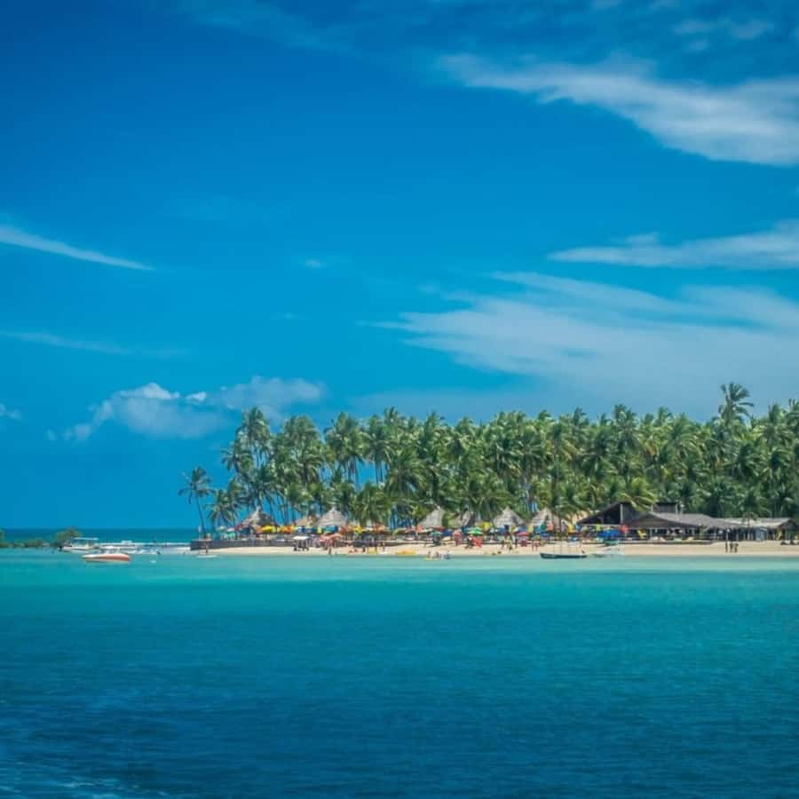 From Recife : Carneiros Beach - Key takeaways