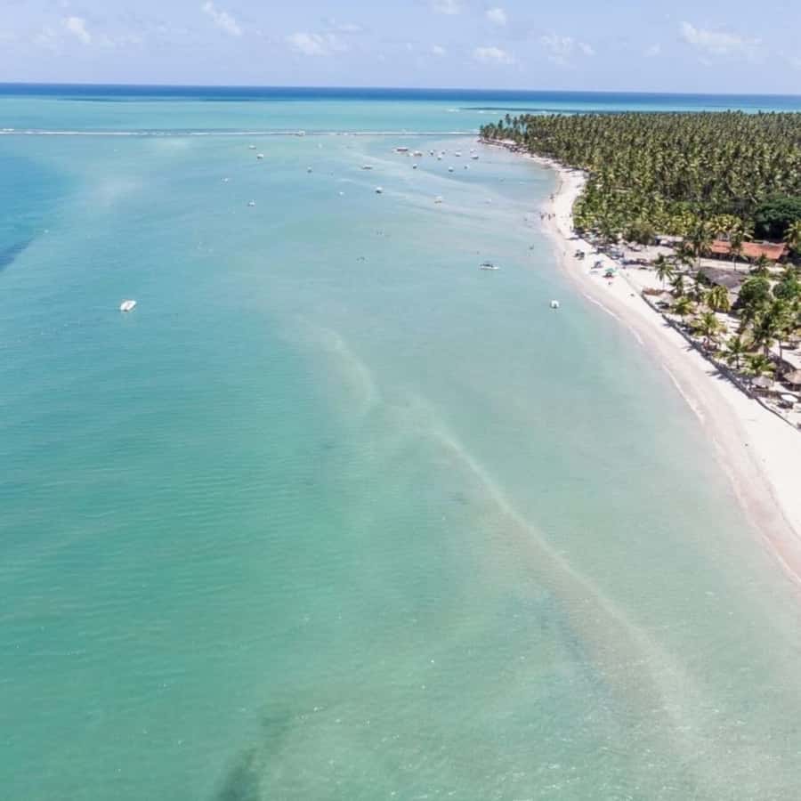 From Recife : Carneiros Beach - Praia dos Carneiros from Recife, what makes it worth your time