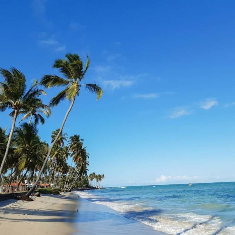 From Recife : Carneiros Beach - How the timing works, and how not to get stressed