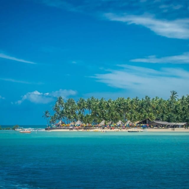 From Recife : Carneiros Beach - Your beach day at the seafront base, how to make it count