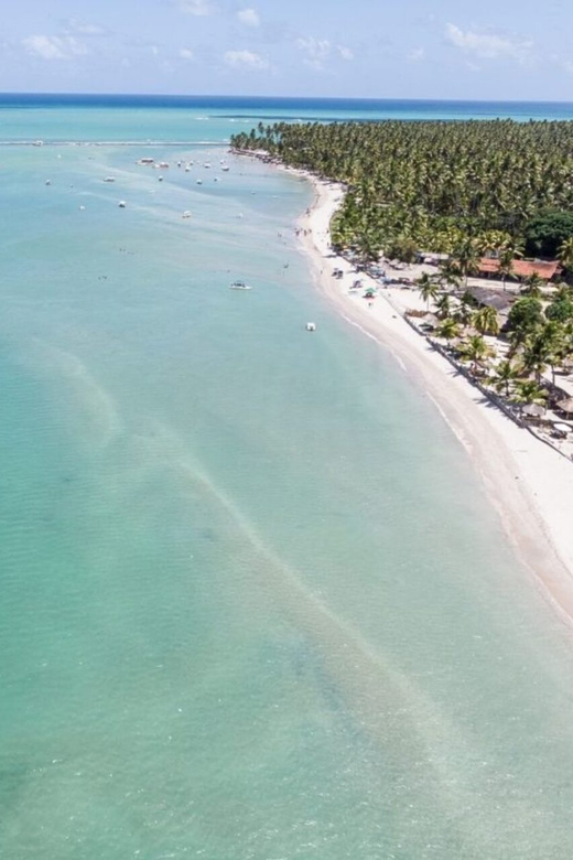 From Recife : Carneiros Beach - The catamaran you might want, and what changes if you add it