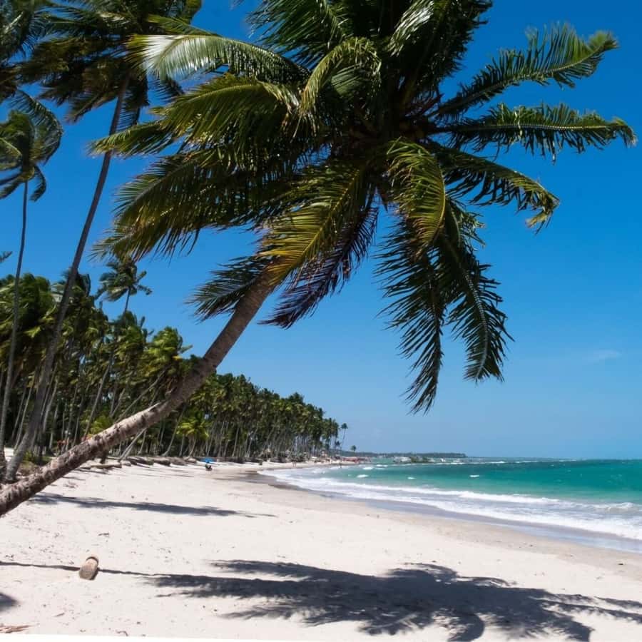 From Recife : Carneiros Beach - Price and what you get for $32 per person