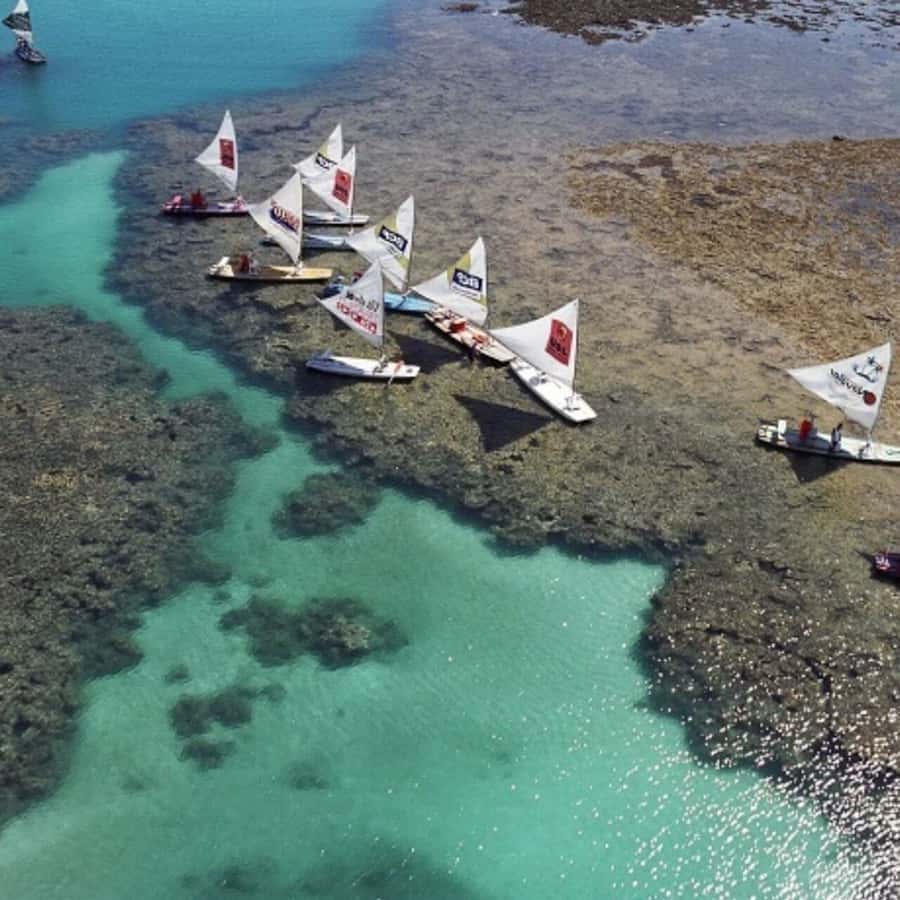 From Recife : Tour for Porto de Galinhas - Key points at a glance