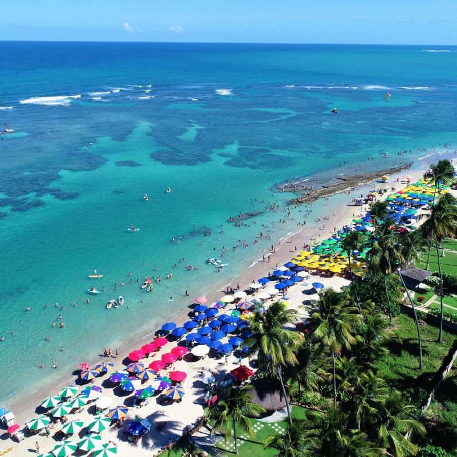 From Recife : Tour for Porto de Galinhas - Porto de Galinhas, the natural pools, and why this tour exists