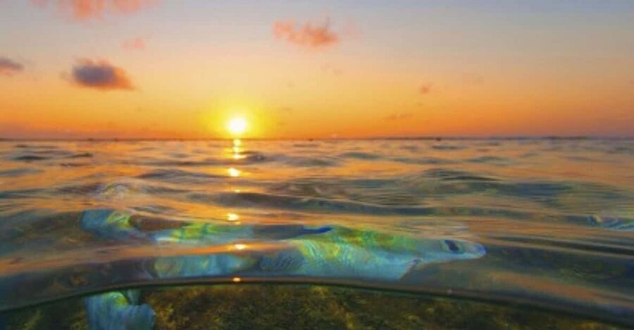 From Recife : Tour for Porto de Galinhas - The raft ride and the tide table reality check