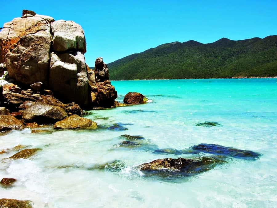 From Rio: Arraial do Cabo - The Brazilian Caribbean Daytrip - Price and value: what $65 buys you for a full-day coastal escape