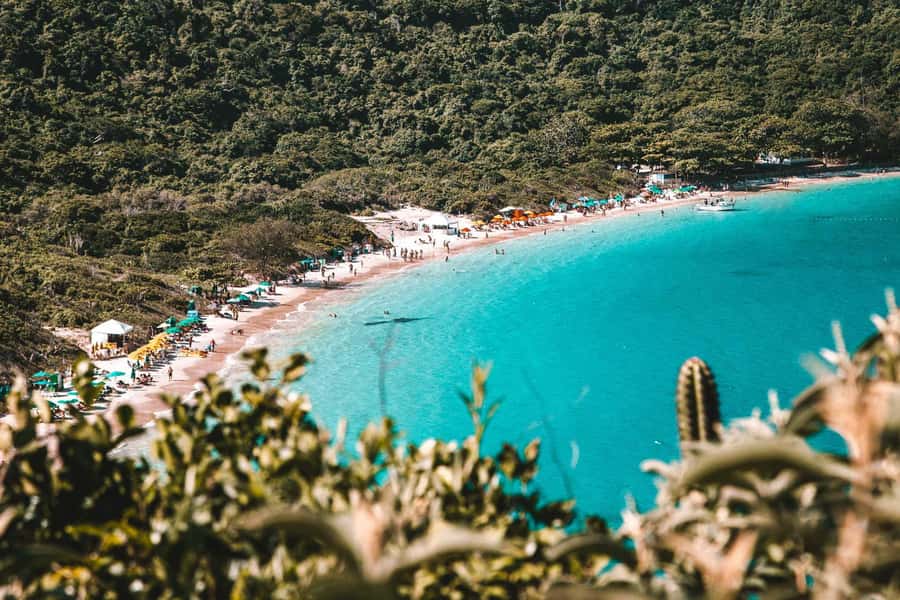From Rio de Janeiro: Arraial do Cabo Island Day Trip - Price and extras: what $67 really covers