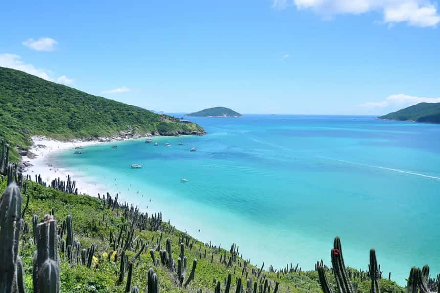 From Rio de Janeiro: Arraial do Cabo Island Day Trip - Why Arraial do Cabo feels special when you only have one day