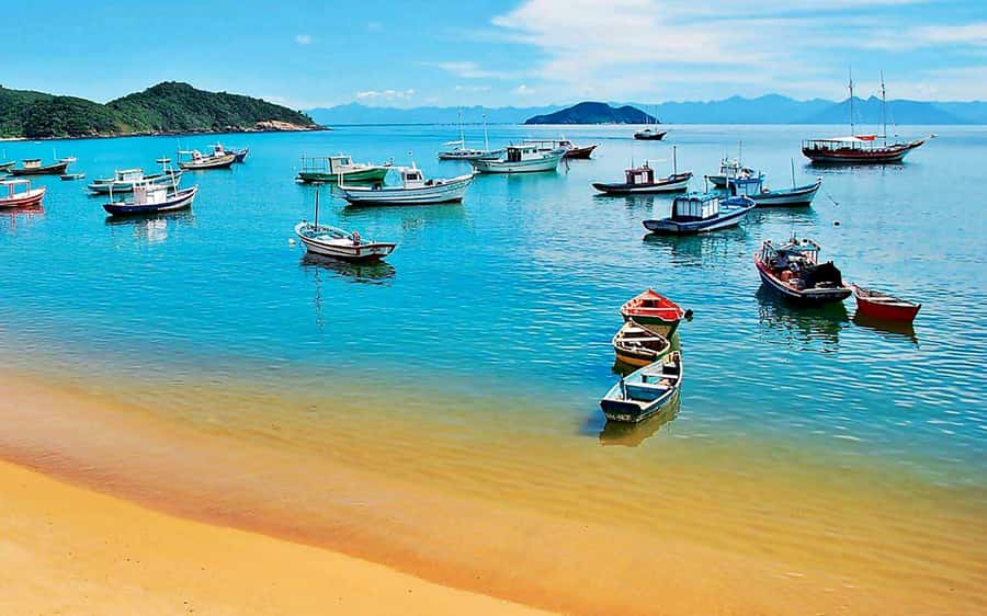 From Rio de Janeiro: Búzios Full-Day Boat Tour - What “high society footsteps” means in real life