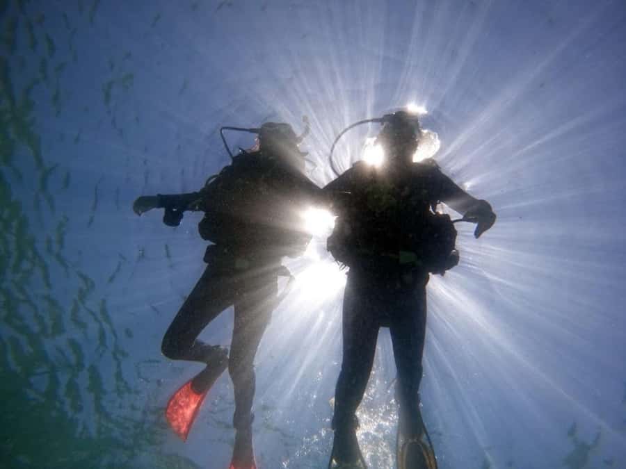 from Rio de Janeiro: Diving in Buzios - Key points at a glance