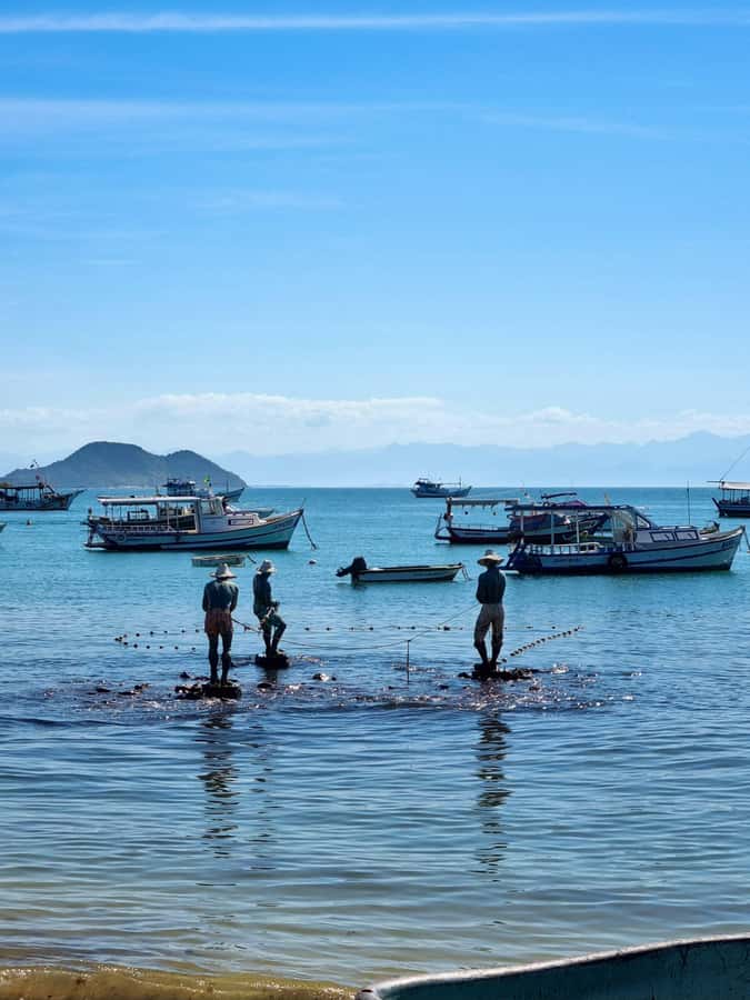 From Rio de Janeiro: Tour discovers Búzios in Buggy - Key things to know before you go