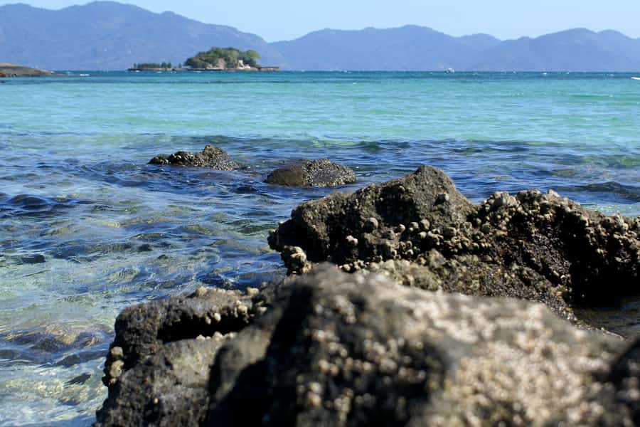 From Rio: Full-Day Angra dos Reis Cruise & Island Tour - Why Angra dos Reis Feels Like a Real Change of Pace From Rio