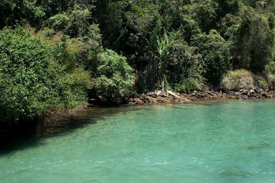 From Rio: Full-Day Angra dos Reis Cruise & Island Tour - Lunch on the Day Trip, and How to Handle Drinks
