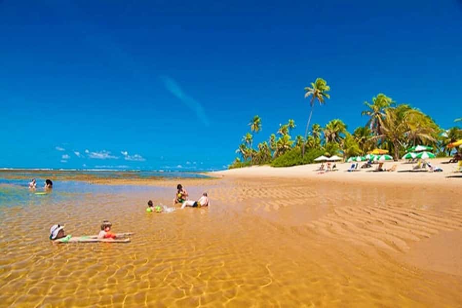 From Salvador: Praia do Forte & Guarajuba Beach Daytrip - Why Praia do Forte and Guarajuba Works as a North Coast Daytrip