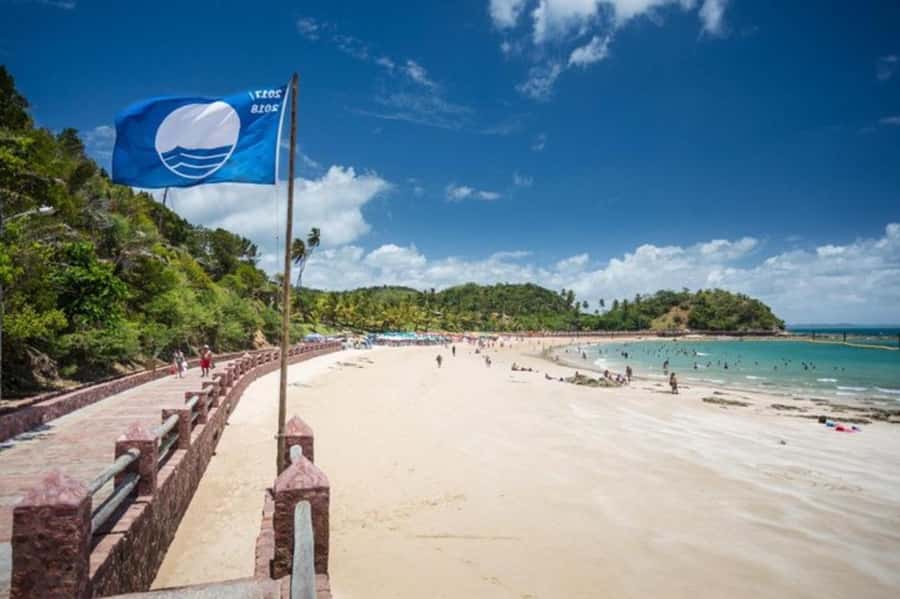From Salvador: Schooner Tour to Frades Island - Ilha dos Frades: beaches, snorkeling, and paced island time