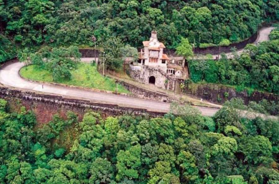 From São Paulo: Private Tour of Atlantic Forest & Valleys - What guides like Denis and Danilo tend to add to the day