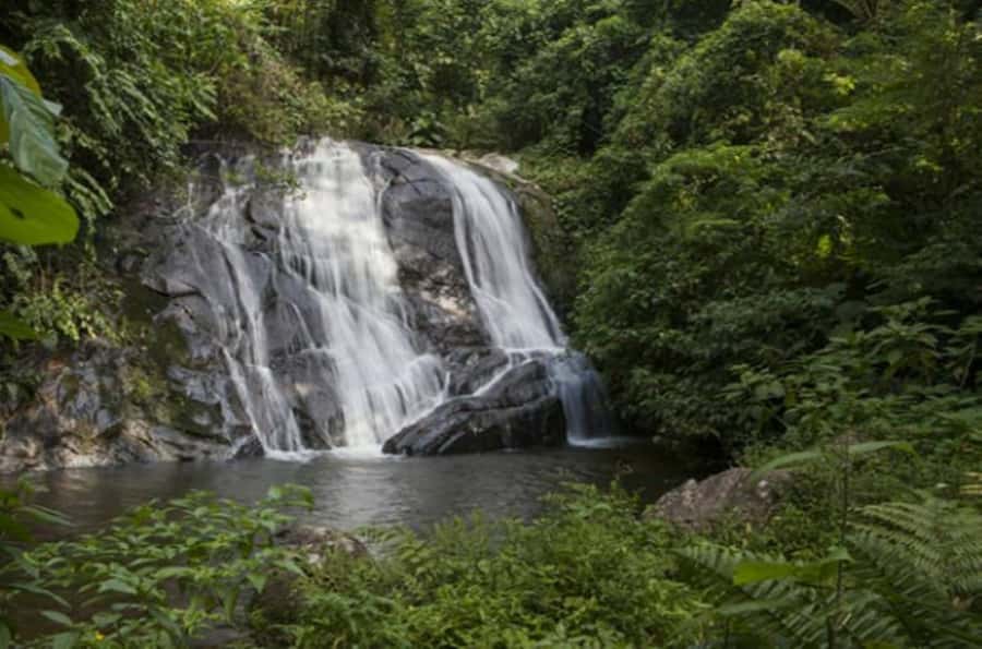 From São Paulo: Private Tour of Atlantic Forest & Valleys - Price and value: what you pay for a private rainforest day