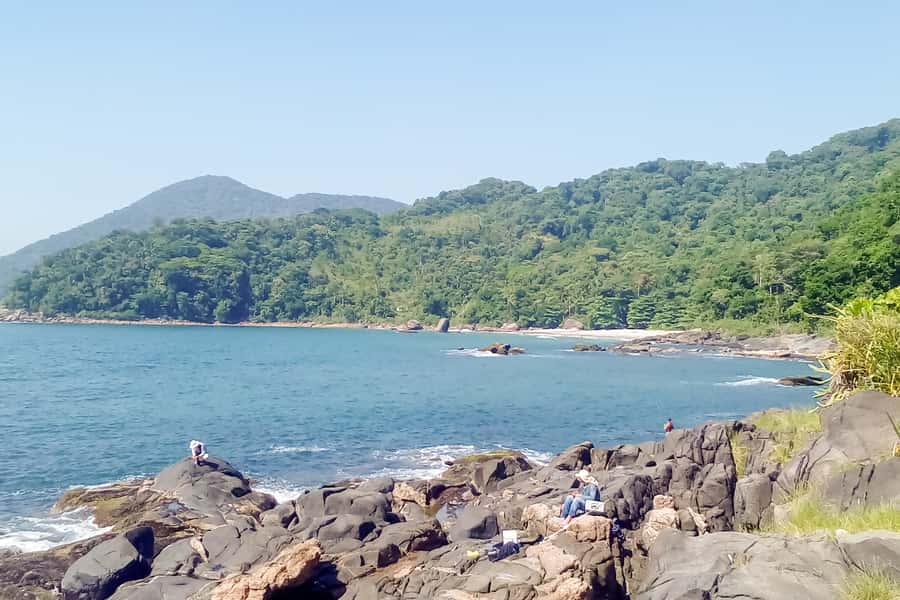 From São Paulo: Santo Amaro Island Trekking by Wild Beaches - Hans Staden Trail to White Beach: where the rainforest does the talking