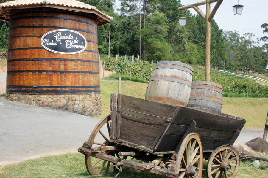 From São Paulo: São Roque Wineries Route and Tasting of Wine - Key things to know before you go