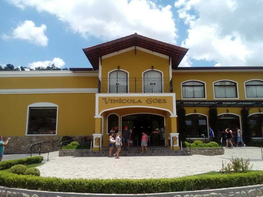 From São Paulo: São Roque Wineries Route and Tasting of Wine - The Wine Tasting Plan: What “Basic Tasting” Really Means