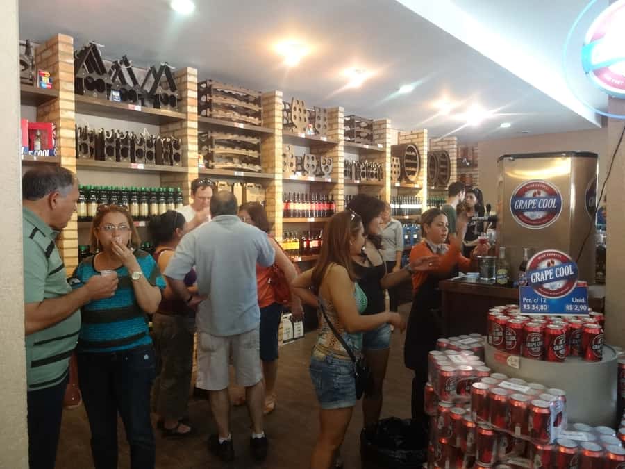 From São Paulo: São Roque Wineries Route and Tasting of Wine - Terra do Vinho: Your First Real Read on São Roque Wines