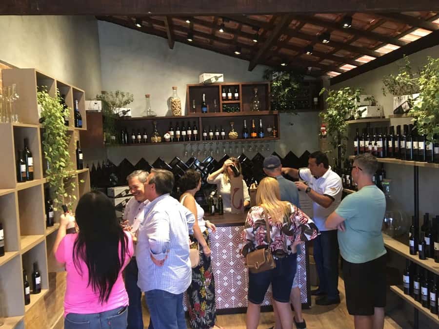 From São Paulo: São Roque Wineries Route and Tasting of Wine - Canguera Winery: The Middle Stop for Comparison