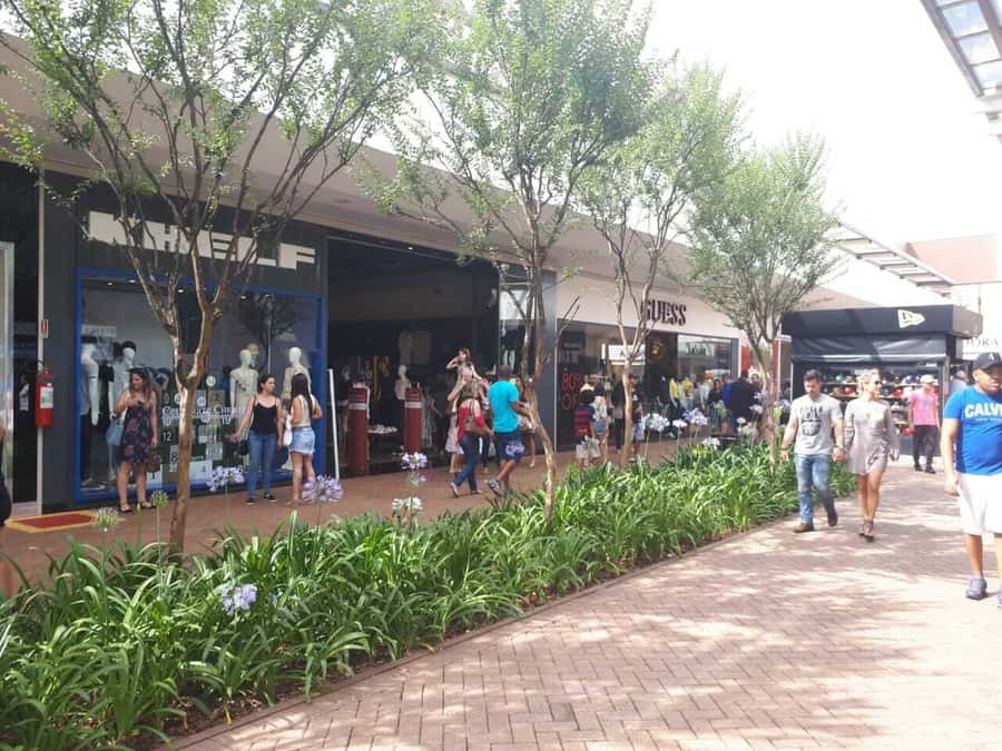 From São Paulo: São Roque Wineries Route and Tasting of Wine - Frank Winery: A Tasting That Can Surprise You