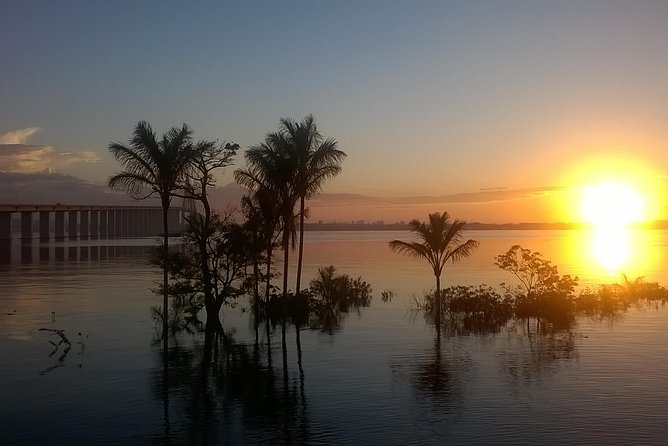 Full Day Amazon River Experience with Night Boat Tour - A Full-Day Amazon Route From Manaus That Actually Moves