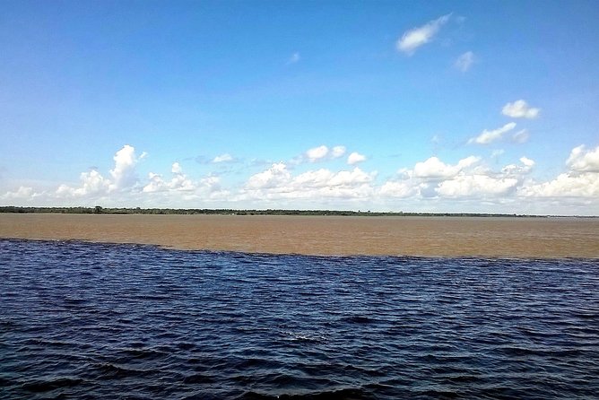 Full Day Amazon River Experience with Night Boat Tour - Flooded Forest by Boat, Feb to Aug Only