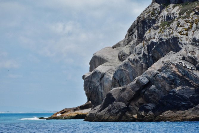 Full-Day Arraial do Cabo Tour with Lunch from Rio de Janeiro - Why Arraial do Cabo Works as a Day Trip From Rio