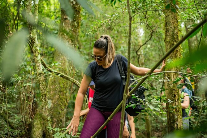 Full Day Hike through Secret Waterfalls in Foz do Iguaçu - Why Secret Waterfalls Feel Like a Local Day Trip in Foz do Iguaçu
