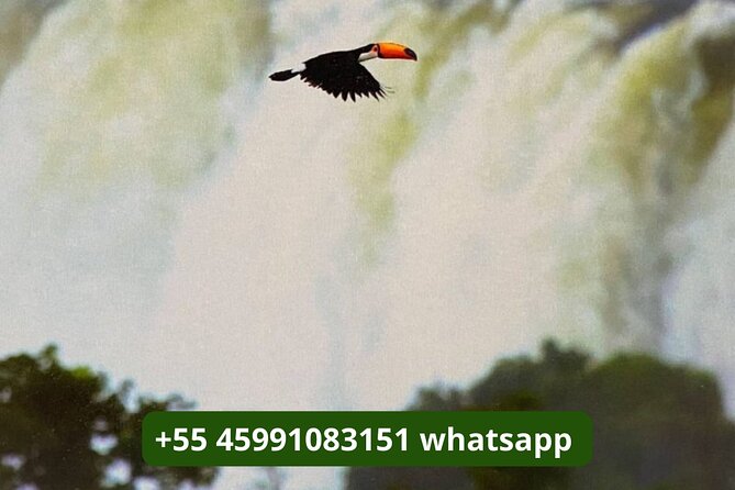 Full Day Iguassu Falls Both Sides -Argentina and Brazil - What guides like Bruno, Nilsa, and Alejandro do for your day