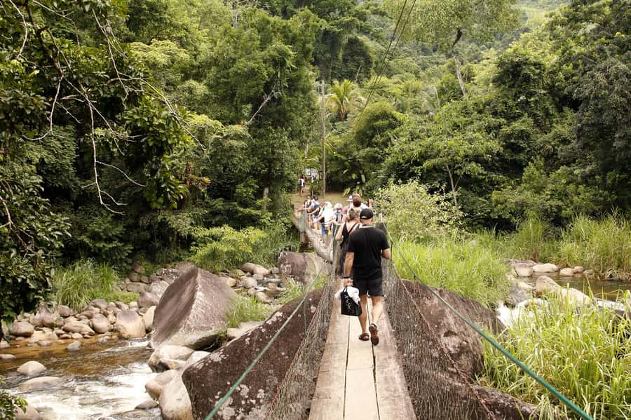 Full-Day Jungle Jeep Waterfall and Cachaça Distillery Tour - Who should book this tour, and who might want a different style