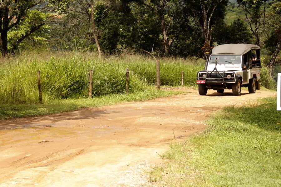Full-Day Jungle Jeep Waterfall and Cachaça Distillery Tour - Waterfall stops you will actually remember: Tobogan and Poço do Tarzan