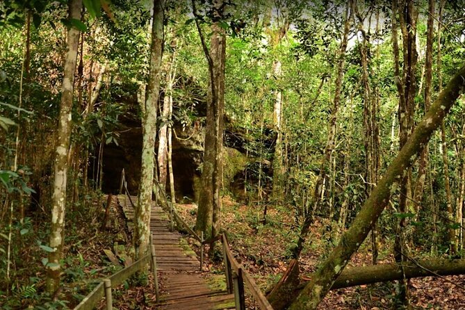 Full-Day Package Tour in Presidente Figueiredo - Getting there: pickup, private transport, and staying in a small group