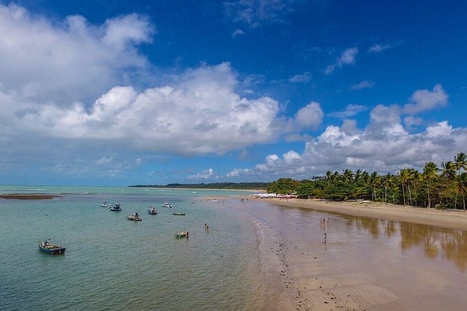 Full Day Tour in Trancoso with Chocolate Factory - Igreja de São João Batista: A Short Church Stop That Matters