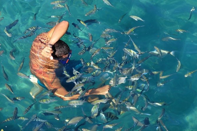 Full Day Tour to Angra dos Reis and Grand Island - The beach sequence that shapes your day: Santana, Lagoa Azul, Aracatibinha