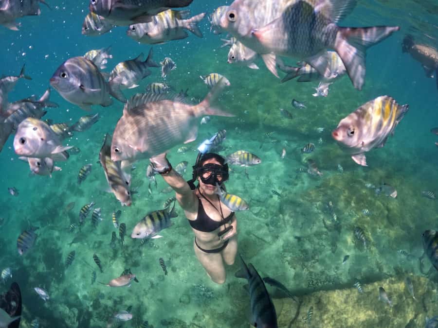 Full day tour to Búzios - Premium All Inclusive - Buffet Lunch in Búzios: Included, With Limits