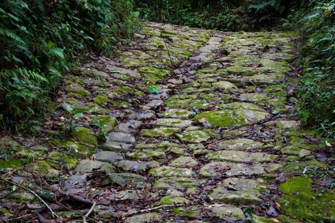 Gold trail adventure cultural hike BY PARATY TOURS - Getting there at 8:00 AM: transport and the small-group rhythm