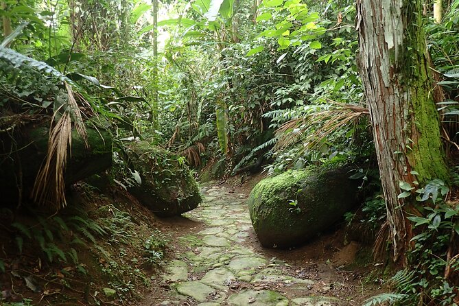 Gold Trail Atlantic Forest Walk - Cachoeira do Toboga: The Waterfall Stop That Many People Remember First
