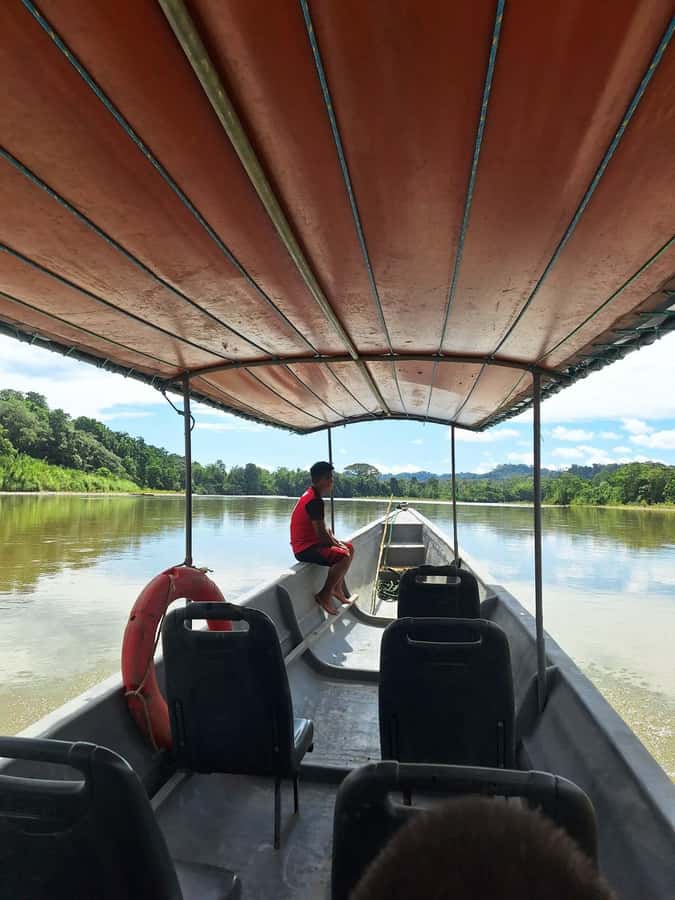 Grand Selva Tours 3 Day Jungle Expedition Ecuador all incl - Animal spotting that feels real: caimans, hoatzin, and night jungle life