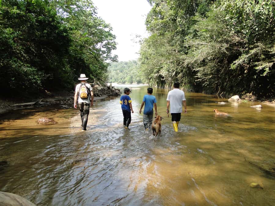 Grand Selva Tours 3 Day Jungle Expedition Ecuador all incl - Lodge comfort at Grand Selva: good base, with a few rainforest compromises