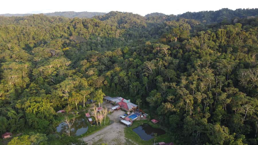 Grand Selva Tours 3 Day Jungle Expedition Ecuador all incl - Day 1: Guayusa welcome, cacao workshop, and the Paiche Arapaima night walk
