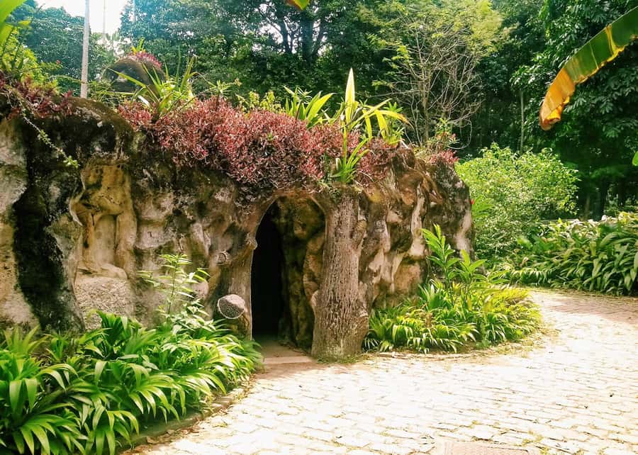 Green Rio: Guided Tour of Botanical Garden and Lage Park - Key highlights to know before you go