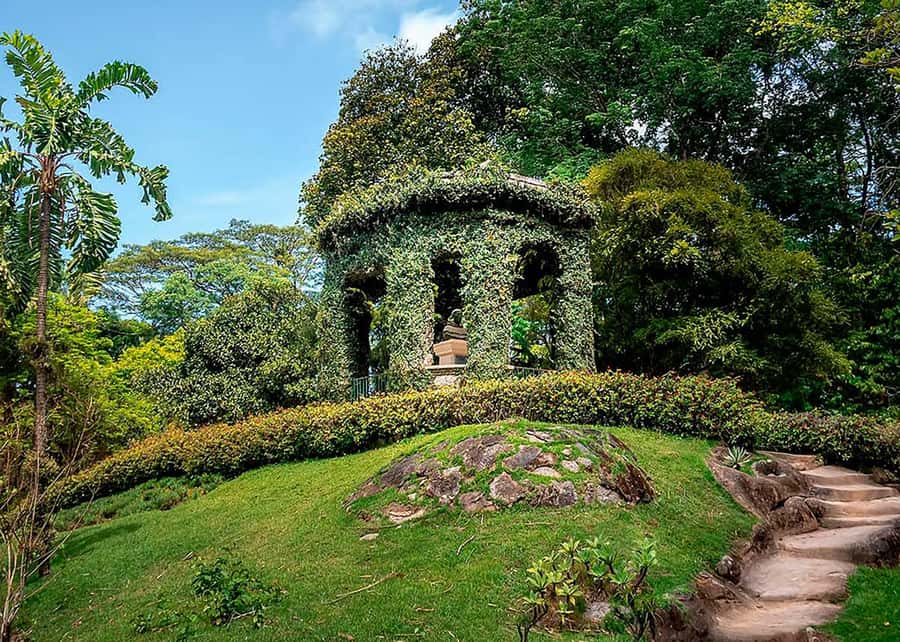 Green Rio: Guided Tour of Botanical Garden and Lage Park - Who this tour suits best