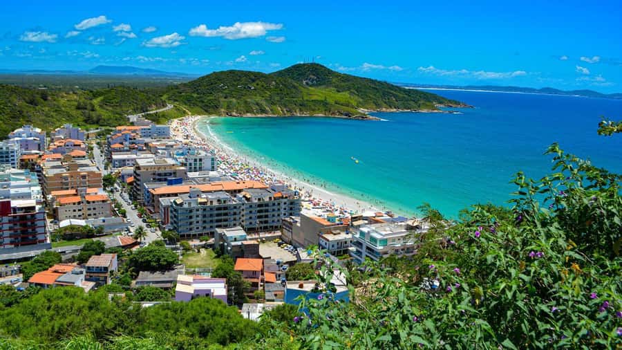 Guided Tour to Arraial do Cabo with Crystal Waters and Lunch - Lunch buffet: the Brazilian fuel that keeps you happy through the ride back