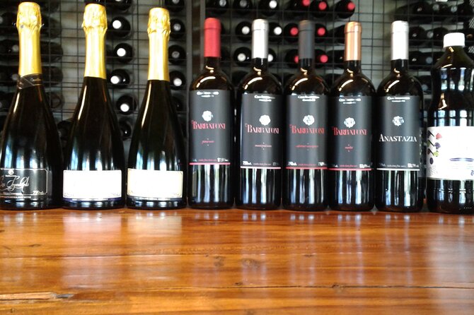 Guided Tour with Wine Tasting at Casa Seganfredo - Gramado - Cellar Time: Storage and How Wine Evolves