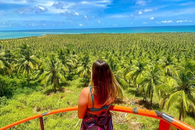 Gunga Beach Private Tour - Who Should Book This Private Gunga Tour